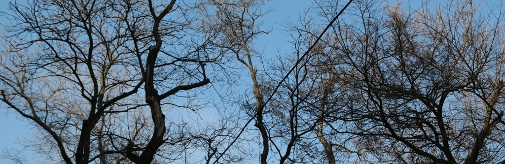  �������������� ������� ������� ������ ���� ������ 