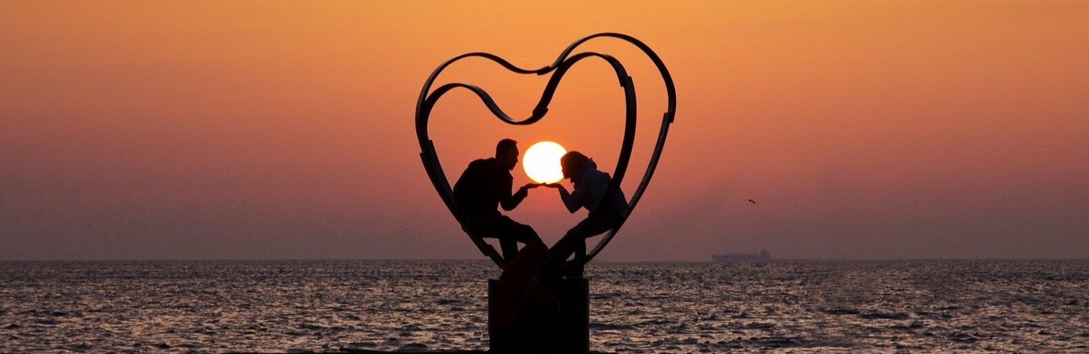  ������� ������ ���� ������� ��������� ������� 