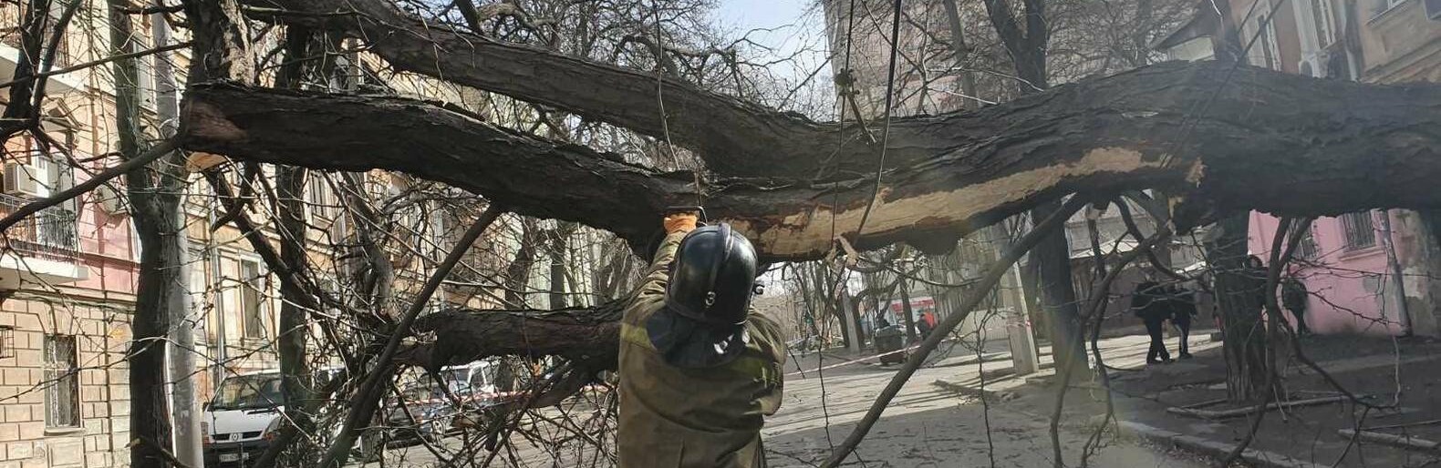  ��������� ���������� ��������� ����������� ������ ������ 