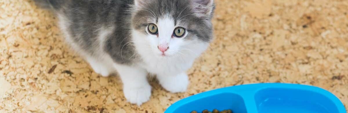 ����: 048.ua