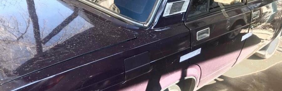  ������� ����� ��������� ������� ����� ������ ������� ���� 