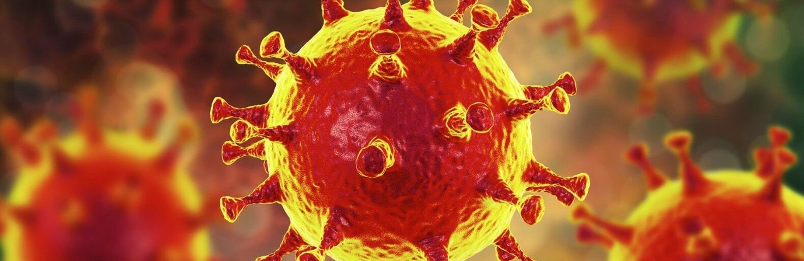  ���� ������� ������ ���� ������������ �������� ��������� 