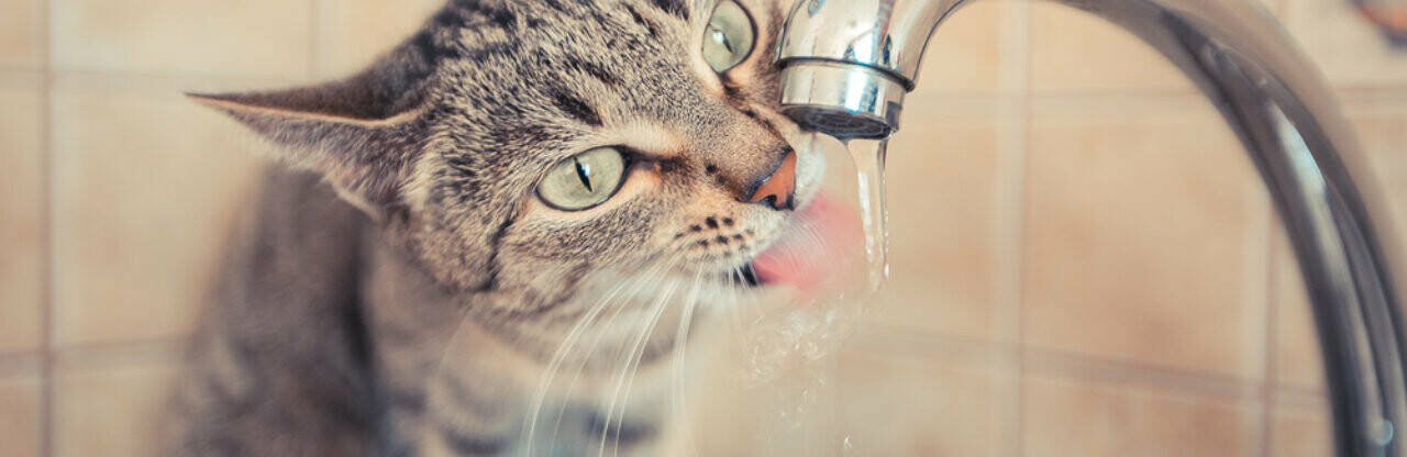  �������� ���� ��������� ������� ������������� 