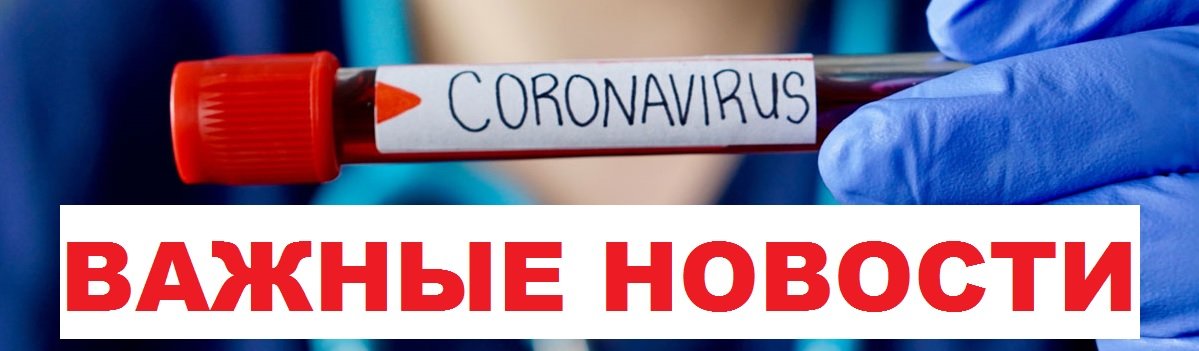  ������������ ������ �������� ������� ������ ����� 