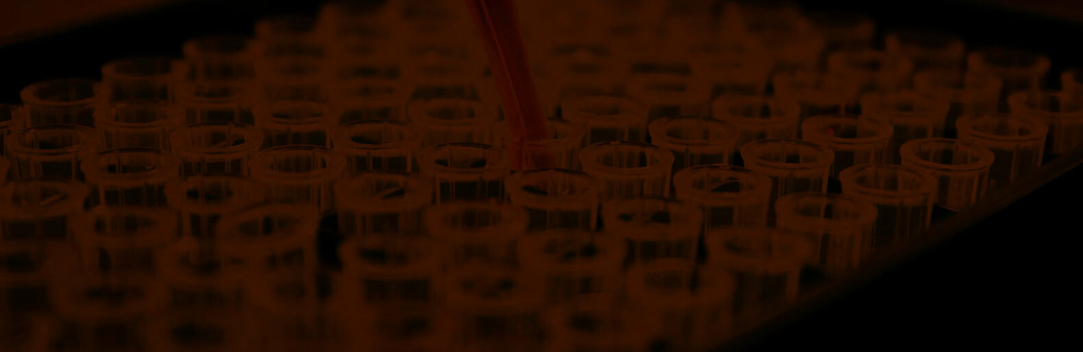  ������� ������������� ����� ������ ������������ ������� ���������� ������������ 