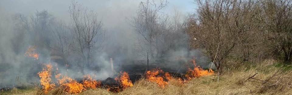  ������� ���������� ����� ������ �������� ������������� ����� 