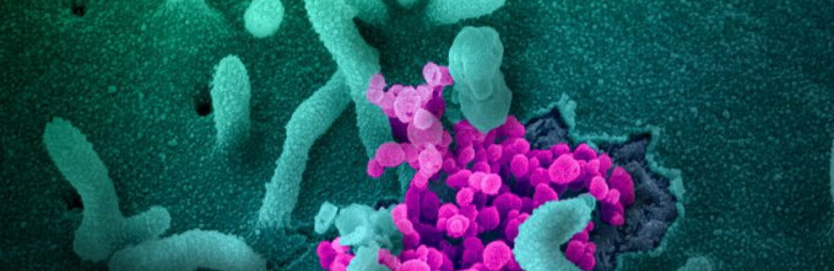  ������� ���������� ���� ������� ��������� �������������� ��� ������������ 