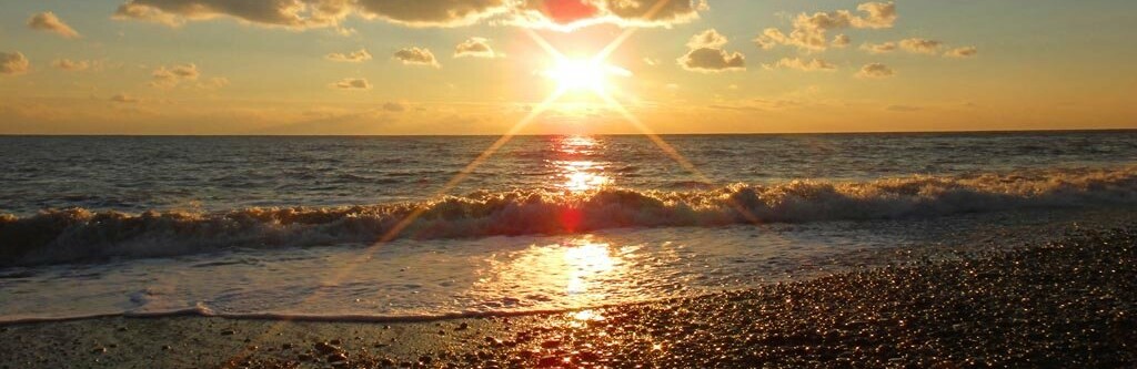  ������ �������� ��������� ����������� ������ ������� 