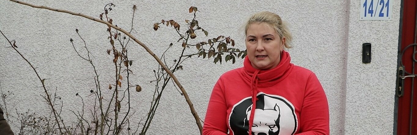  ������� ������ ������ ���� ���������� ������� ������������ �������� 