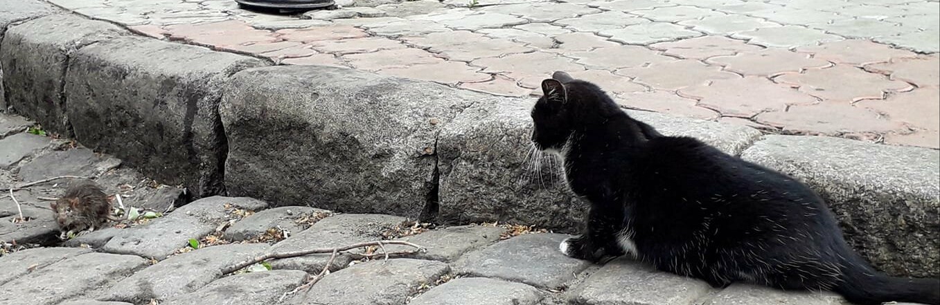 ����: 048.ua