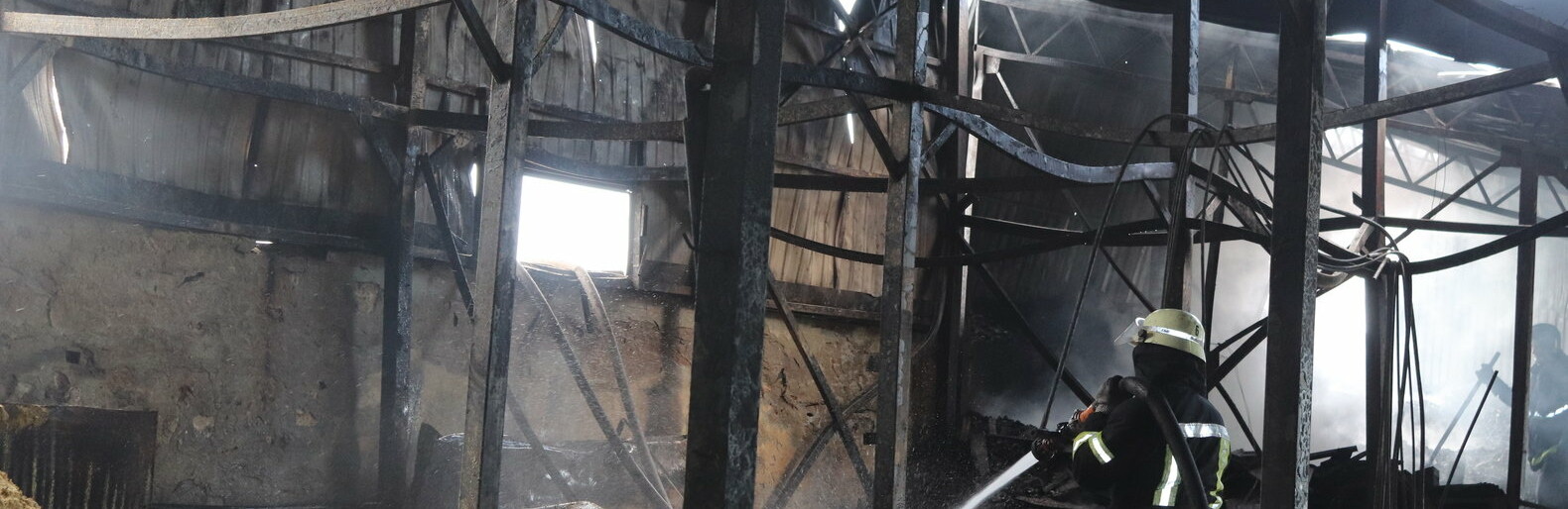  ������ ����� �������� ��������� ������� �������� ���� ����� 