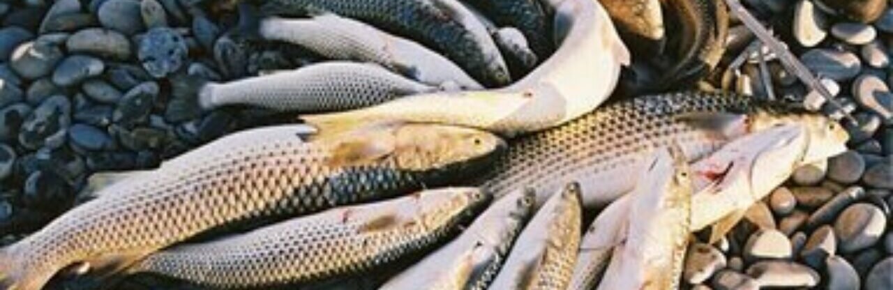 ����: 048.ua