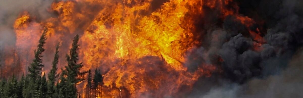  �������� ������ �������� ����� ���� 