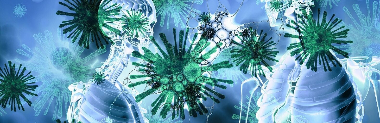  ����������� �������� ������� ���� ������� covid-19 ����������� 