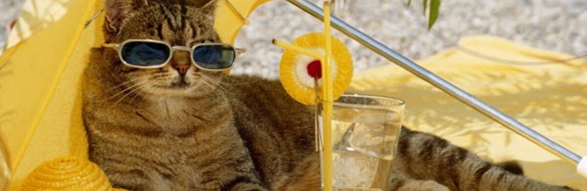  ���� ����� ����� ������ ������ 