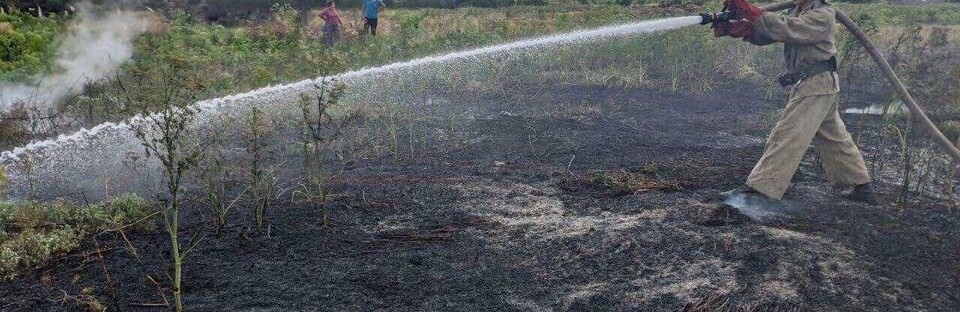  �������� ��������� ������ ����� �������� ���������� ���� 