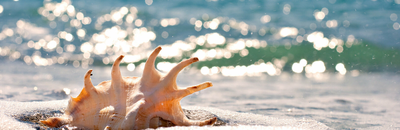  ������ ������� ������ ���� ������ ����������� ������� ���� 