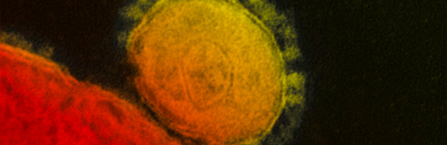 ����: 048.ua