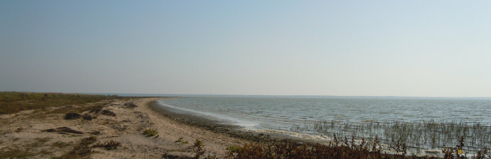  ���� ����� �������� �������� ����� �������� ������� 