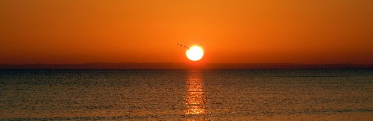  ������ �������� ����������� ����� ������ ����������� ������� ���� 