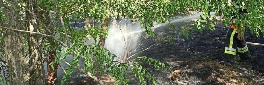  �������� ������� ������ ����� �������� ���������� 