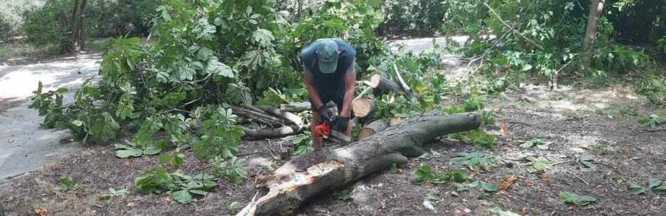  ������ ������ ���� 100 �������� -���� 