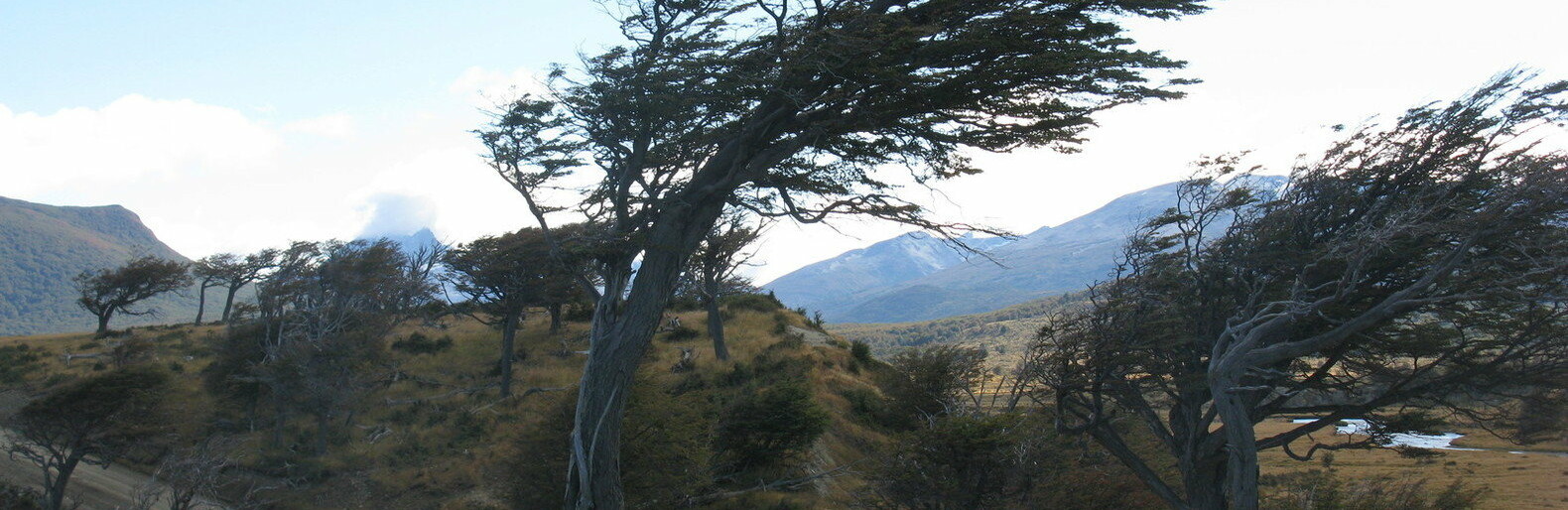  ������ ������� ��������� ������ ��������� ������� ������ ���������� 