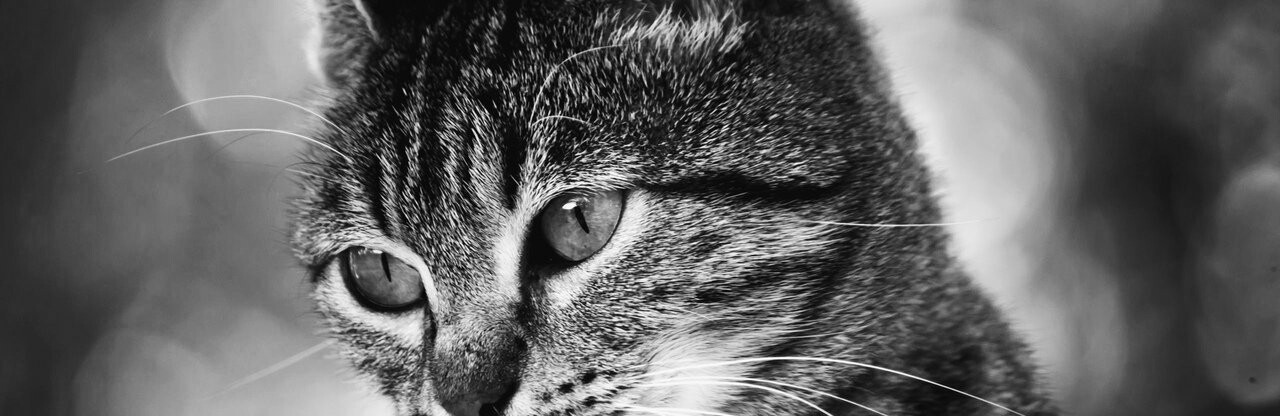 ����: 048.ua