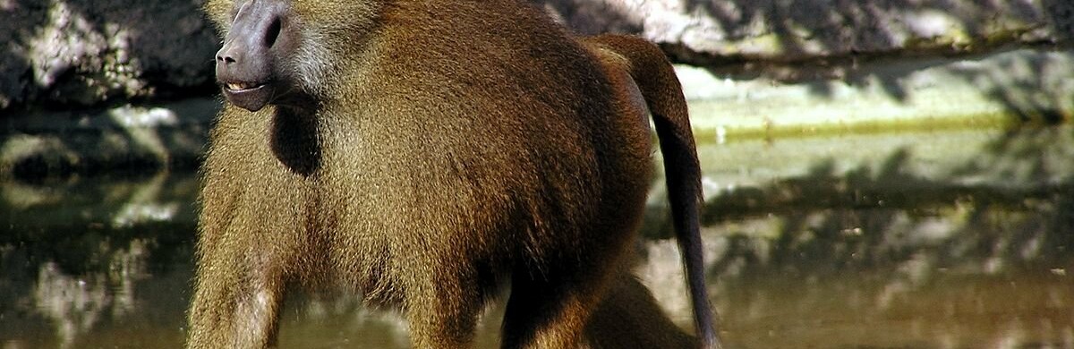 ����: 048.ua