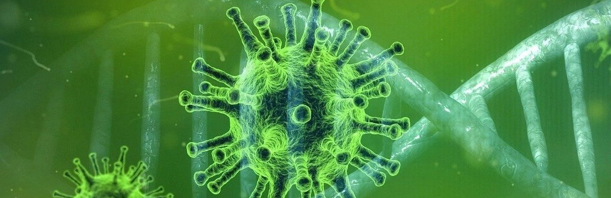  �������� ������� ������ ������ ������������ �������� ��������� 