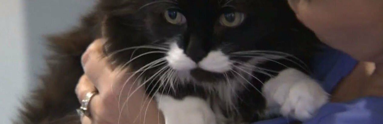  ������ ��������� ������� ���� ������� ������� ���� 