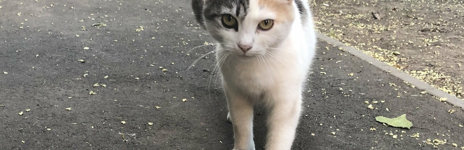  ���� ����� ���������� ����� ������������ ����� �������� ���� 