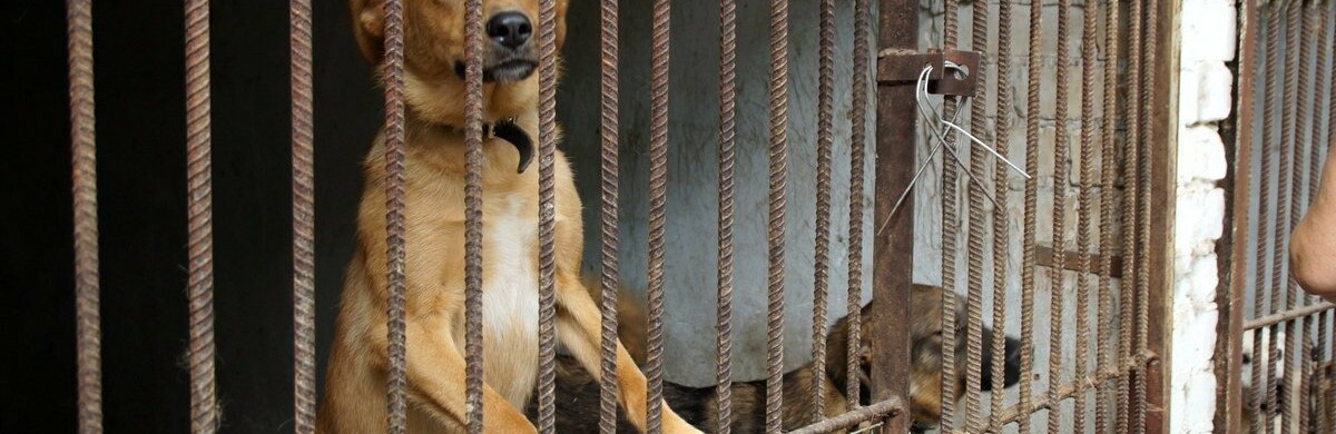  ������ ��������� ��������� ������ �������� ����� �������� ����� 