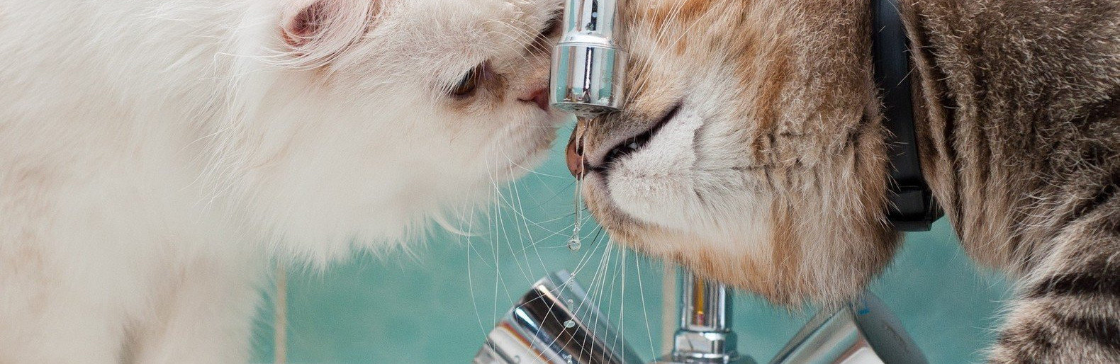 ����: 048.ua