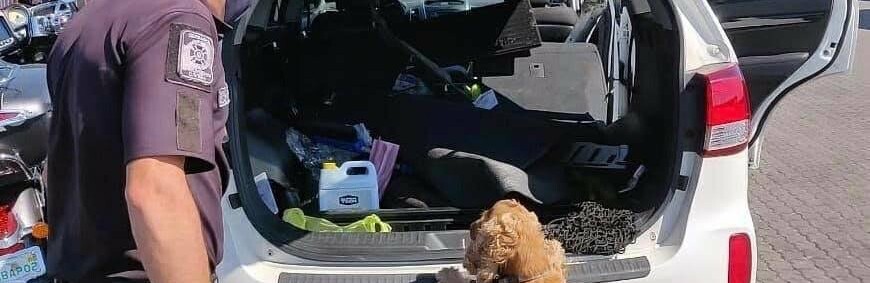  �������� ������������ ����� ������� ���� ��� ���� 