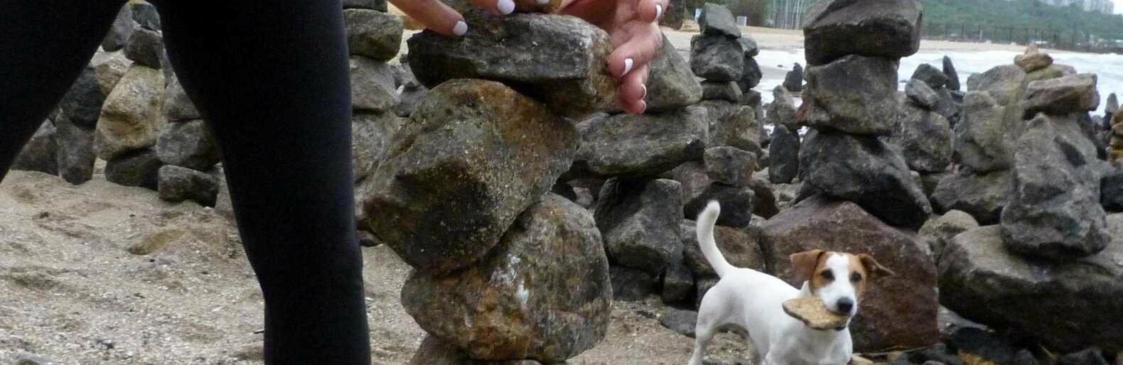  ������ ����� ������ ����������� ��� ������ ������������ 