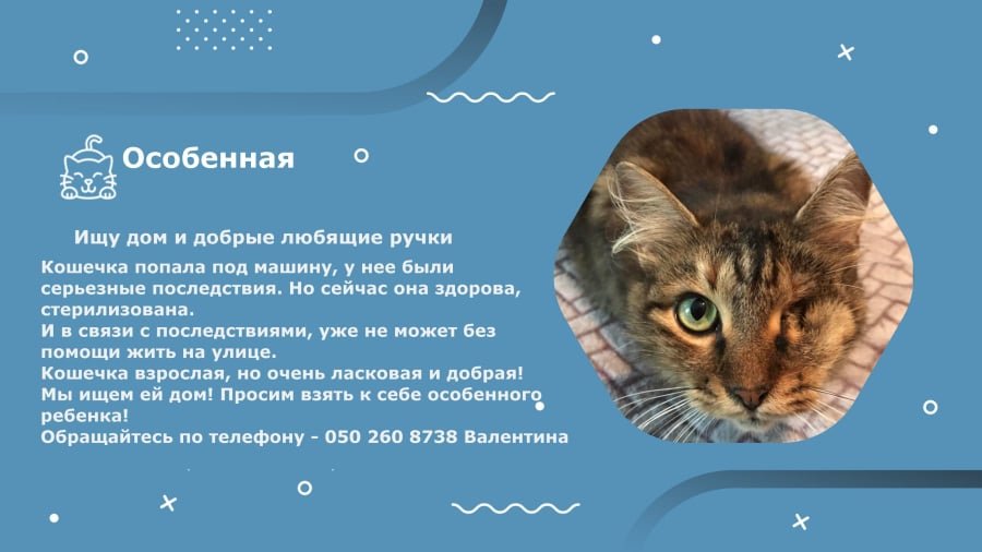 ����: 048.ua