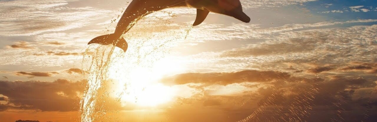 ����: 048.ua