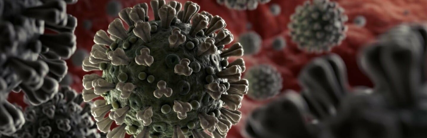  ����������� �������� ������� ��������� ���������� covid-19 ������� ������� 