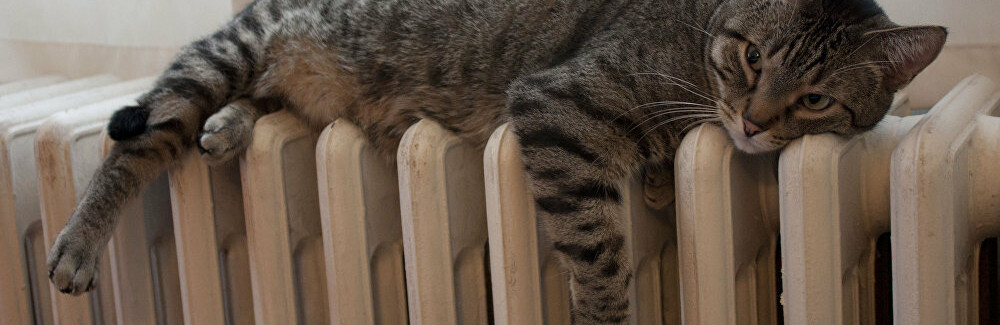  ������ �������� ������ ������� ��������� 