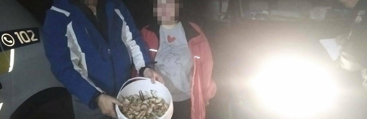  �������� ������� ����������� �������� ���� 