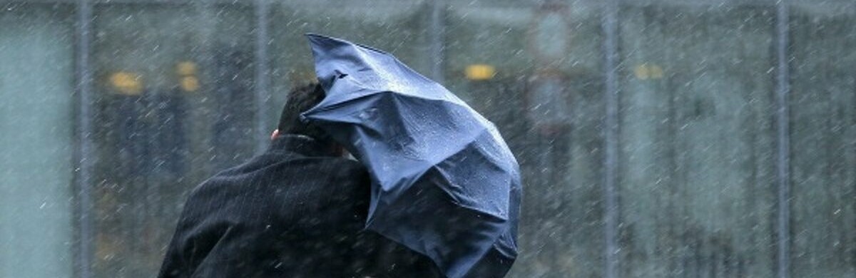  ������� ����� ������� �������� ������� ������ 