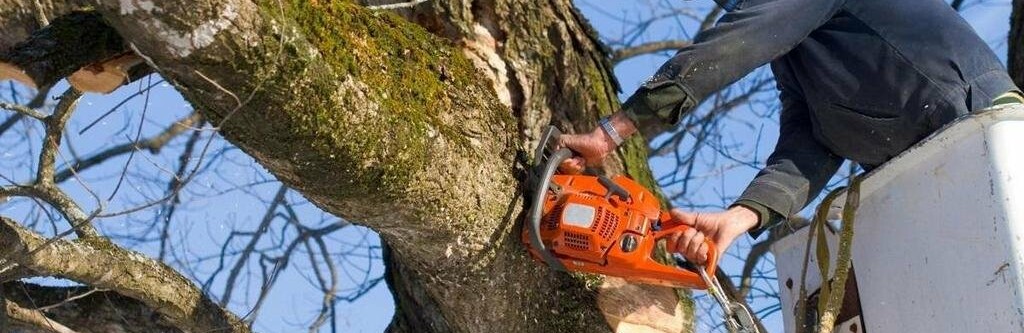  ������ ������� ����� ������� ������ ������� ���� 