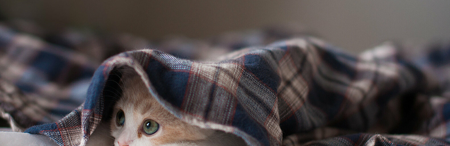  ����������� ������ �������� ��������� ����� �������� ��������� ������ 