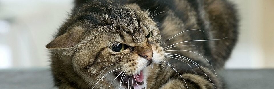  ��������� ������ ������ ����� ������ ������� 