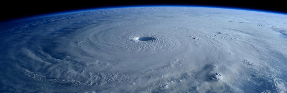  ������������ ������ ���� ������ ������ 