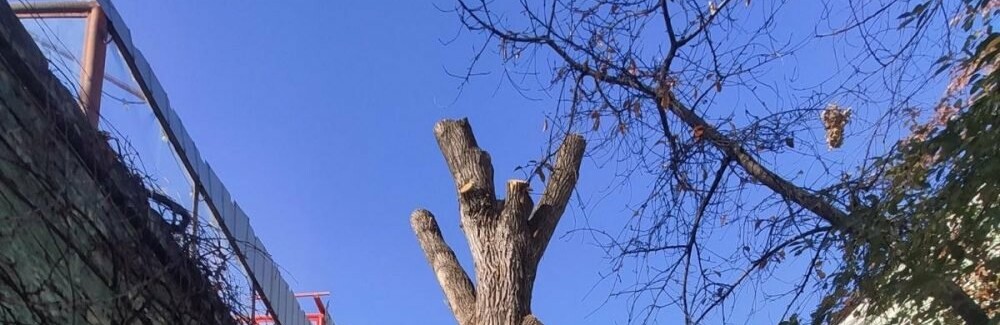  ������ ����������� ��������� ������ ���� 