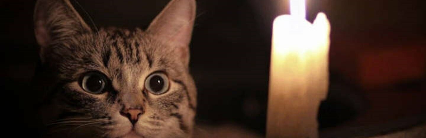  ������ 120 ���� ��������� ���������������� ������ ���������� ����� 