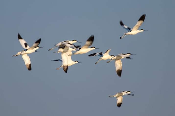  �������� ������� ��������� ������ ����� ���� 