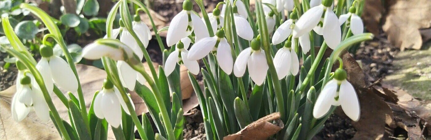  ����������� ������� ���� ������ ������ 